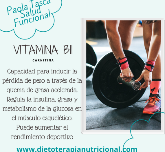 Vitamina B11 y Sus Alimentos