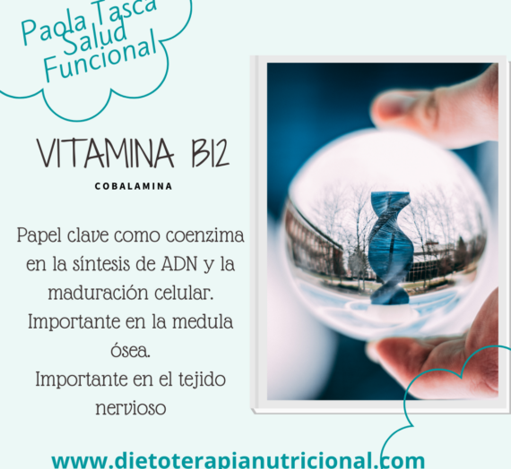 Vitamina B12 y Sus Alimentos