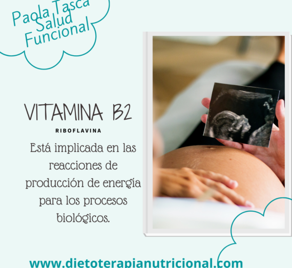 Vitamina B2 y Sus Alimentos