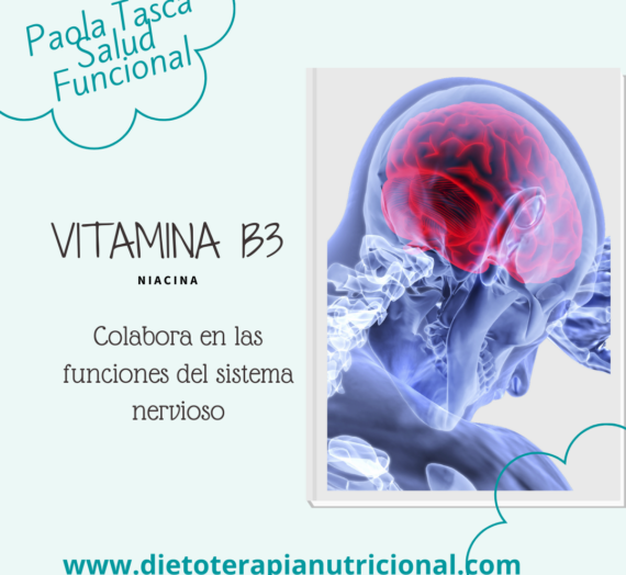 Vitamina B3 y Sus Alimentos