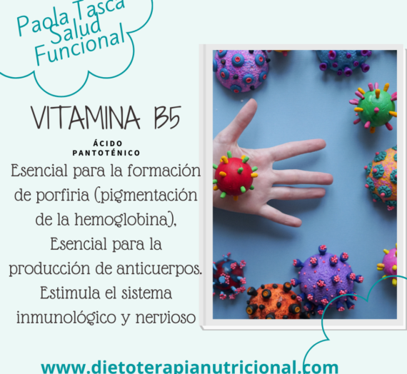 Vitamina B5 y Sus Alimentos