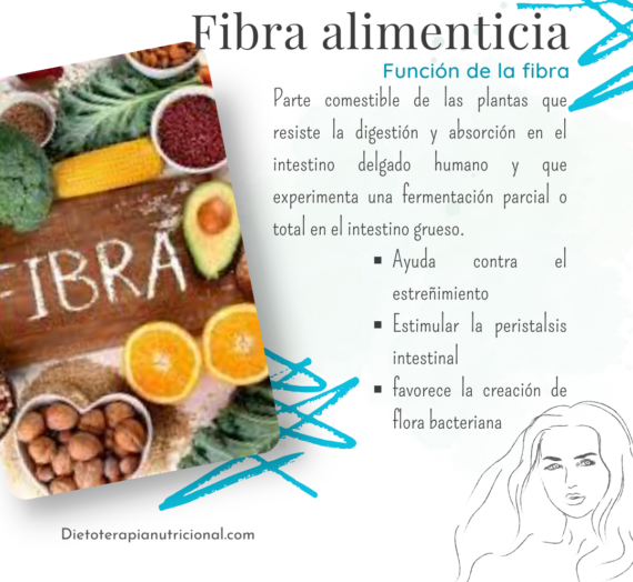 ¿Qué función cumple la fibra alimenticia?