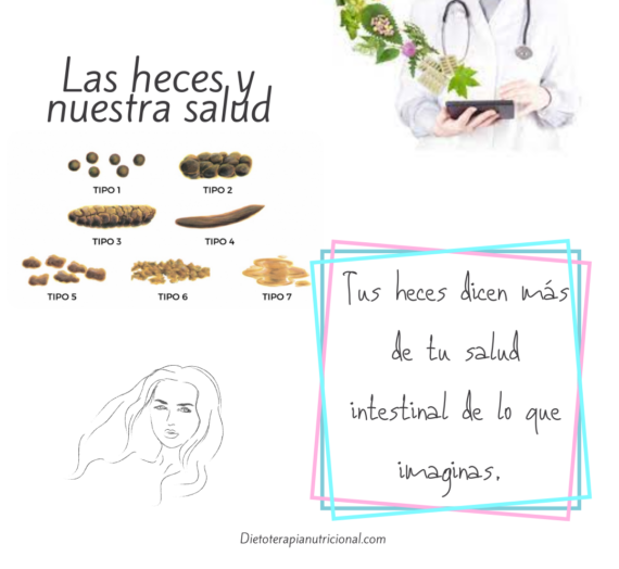 Las heces y nuestra salud